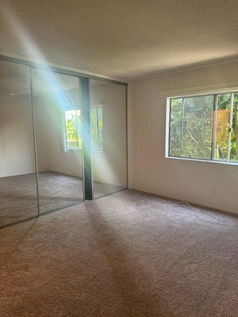 Floor Plan - 1 Bed