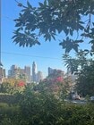 Picturesque view from south facing window in the front bedroom - 782 E Kensington Rd Apartments Unit 782 E Kensington Rd