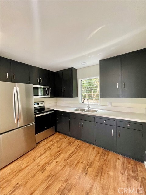 Building Photo - 447 Graceland Dr Unit 1/2