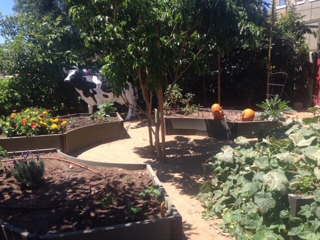 Photo - 11835 S Park Ave