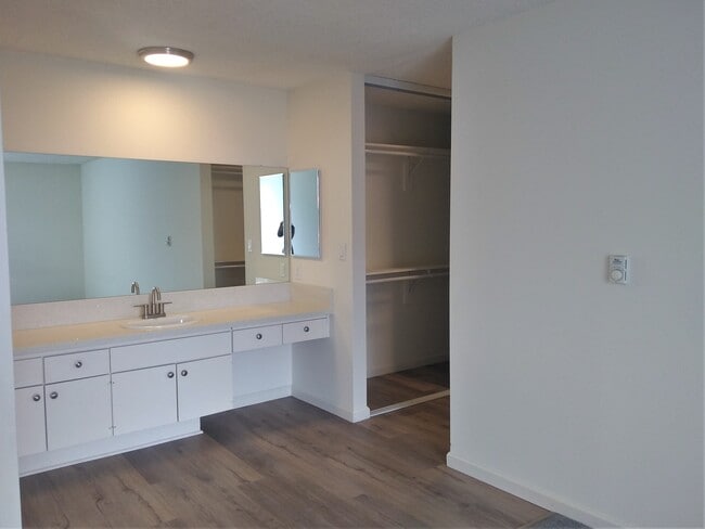 2 OR 3 BEDROOM: Vanity in Master Bedroom - Summerwood Park Apartments