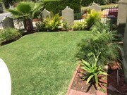 Front yard - 1968 El Molino Ave House