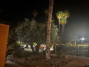 Photo - Twin Palms Apartments
