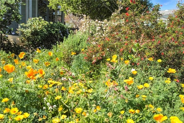 Photo - 171 Costa Mesa St