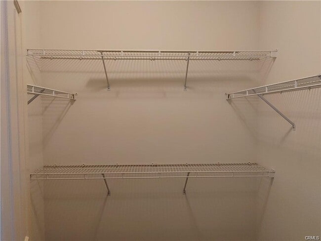 Photo - 47 Straw Flower