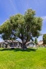 Photo - 13591 Flint Dr