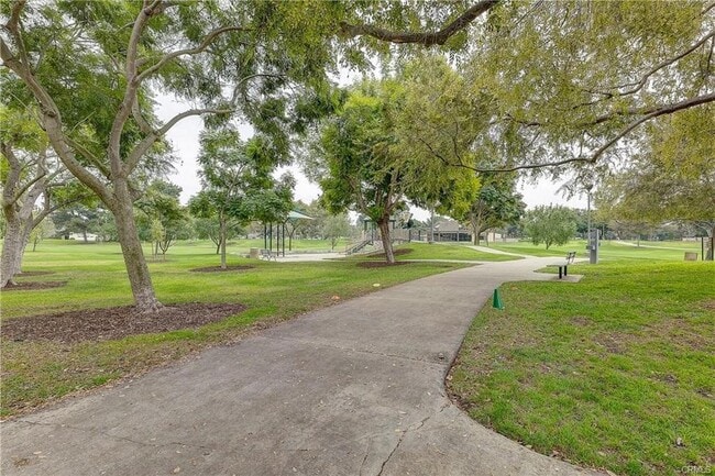 Photo - 32 Blazing Star