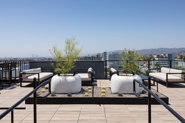 Photo - Skylar At Sunset