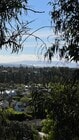 Photo - 1404 San Remo Dr