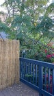 Rear Deck - 1150 Sanborn Ave. Apt C Unit 1150 C