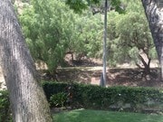 Photo - 1348 San Ysidro Dr