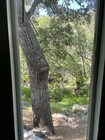 View from window - 85 Sherwood Dr Apartment Unit Studio