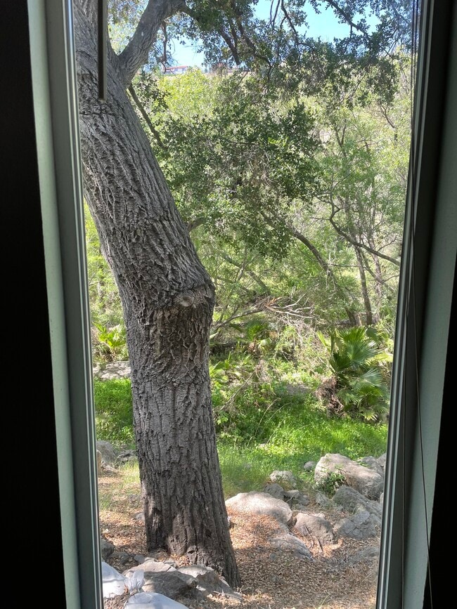 View from window - 85 Sherwood Dr Unit Studio