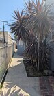 Photo - 1008 N Willow Ave Unit 1/2