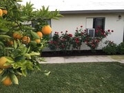 Photo - 263 N Florence St