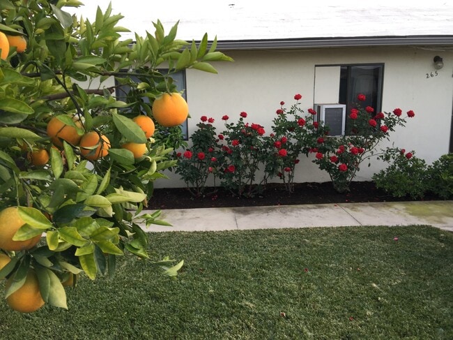 Photo - 263 N Florence St