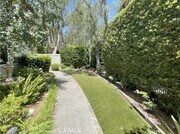 Photo - 17 Thornbird