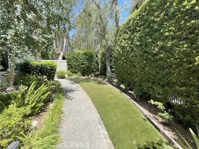 Photo - 17 Thornbird