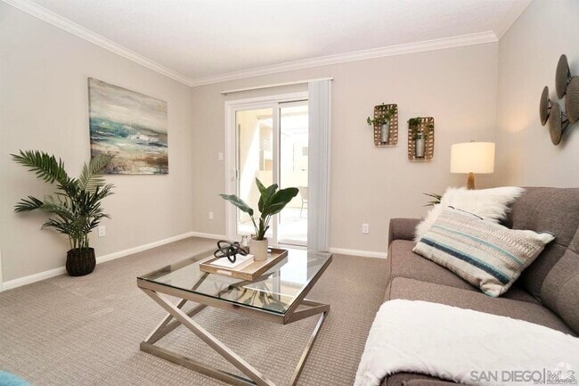Building Photo - 7405 Charmant Dr Unit 1907 Rental