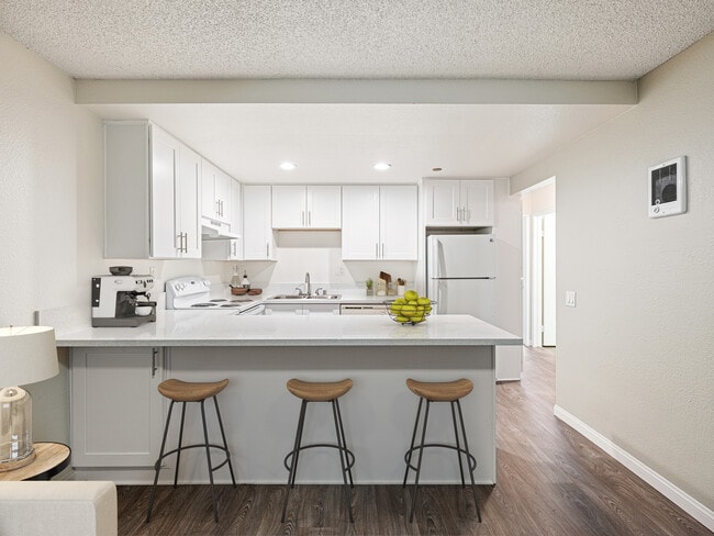 Remodeled Apartment - Aztec Campus Apartments *Parking Included*