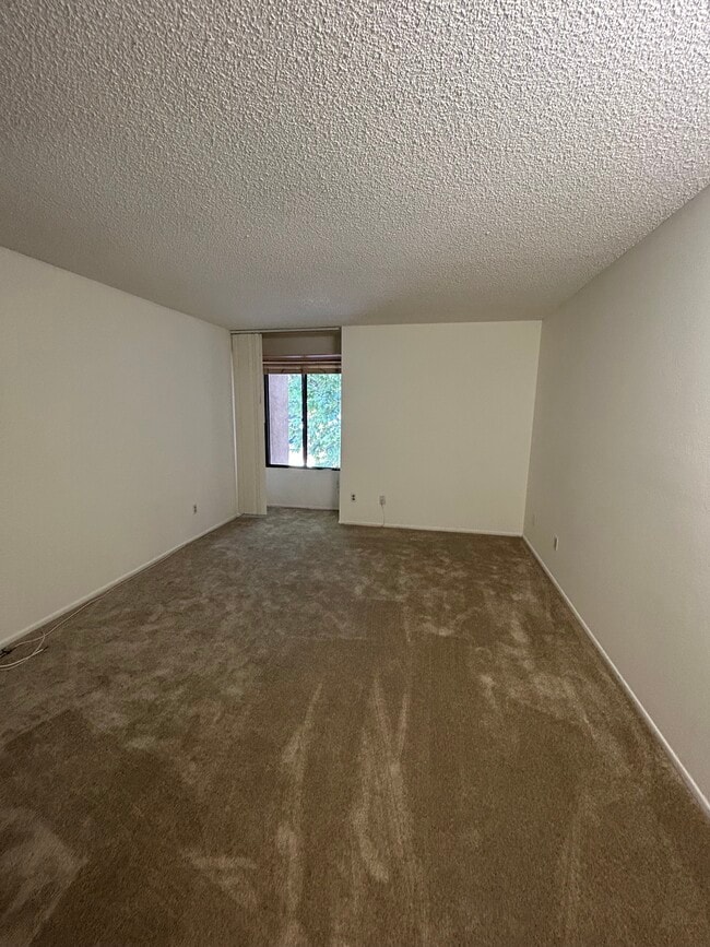 Bedroom - 424 Oak St Unit 227