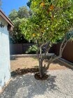 Photo - 8812 Annandale Way House