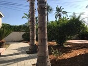 Photo - 438 Sycamore Ave