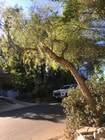 Driveway - 1708 Upperton Ave