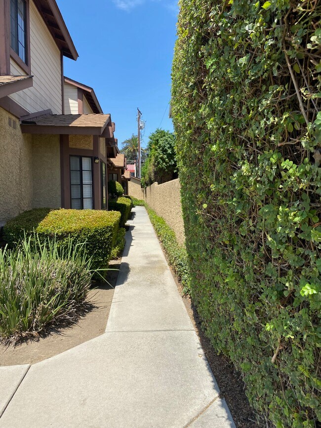 Walkway to front door - 315 W Center St