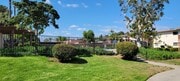 Beautiful trees and lush gardens around swimming pool at Plaza Verde Apartments in Escondido, California. - Plaza Verde Apartments