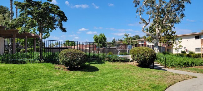 Beautiful trees and lush gardens around swimming pool at Plaza Verde Apartments in Escondido, California. - Plaza Verde