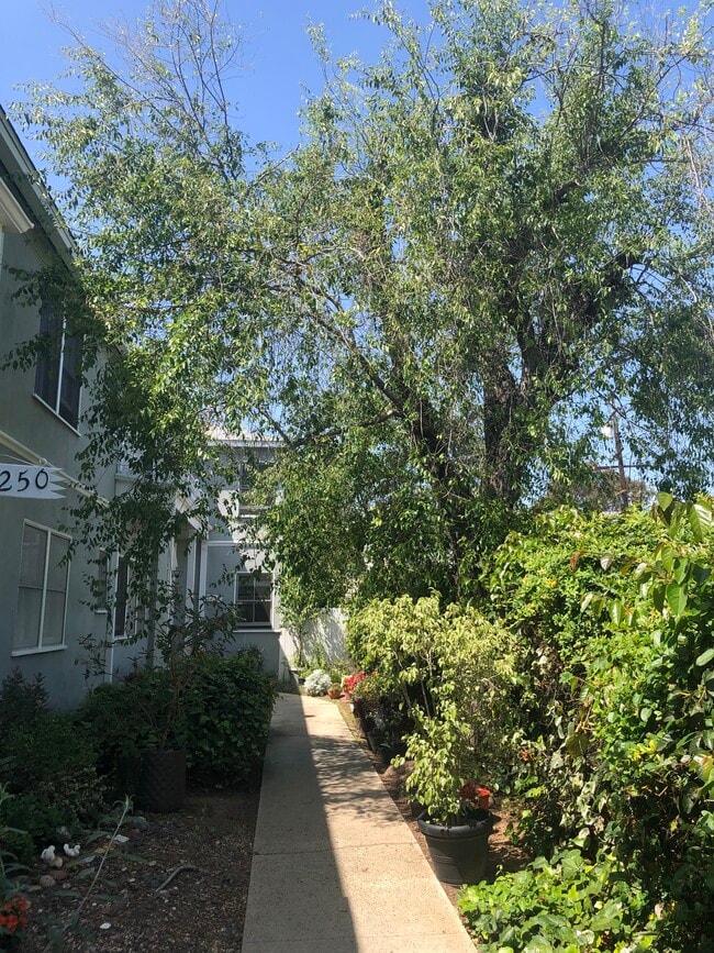 Photo - 1250 Franklin St Unit #B