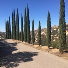 Photo - 18988 Via Pamela