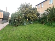 Photo - 26025 Cypress St Unit 2