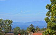 More view - 28845 Briarhurst Dr House