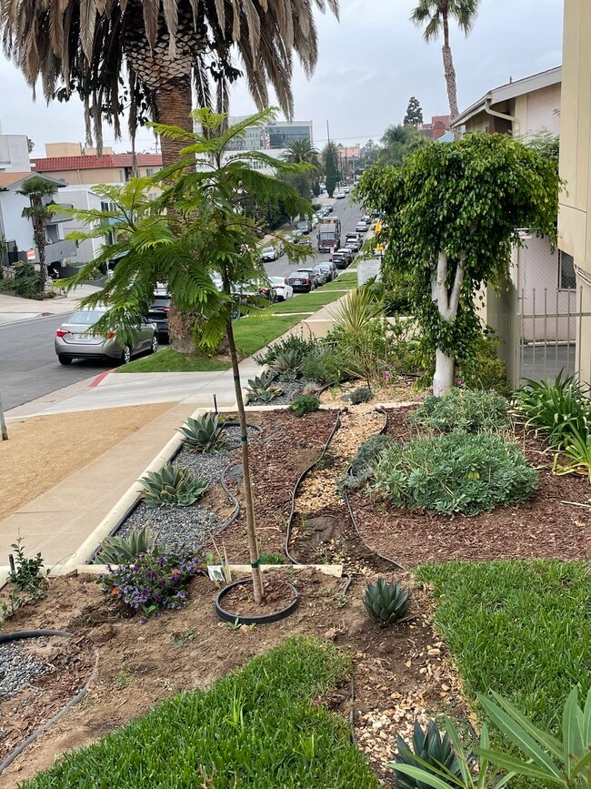 LUXURY LIVING AT AN AFFORDABLE PRICE - LUXURY LIVING AT AN AFFORDABLE PRICE Apartments