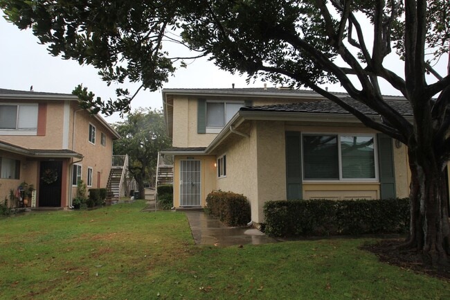 Photo - Sex2583 Unit 2583