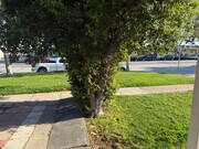 Photo - 1720 W Olympic Blvd