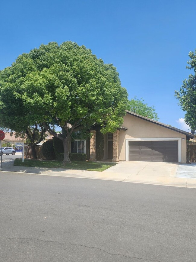 Beautiful 4 Bedroom 2 Bathroom House in Be... - Beautiful 4 Bedroom 2 Bathroom House in Be...