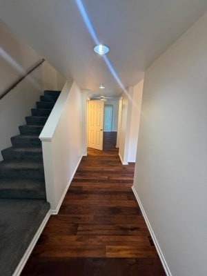 333B FEGAN - San Onofre 1