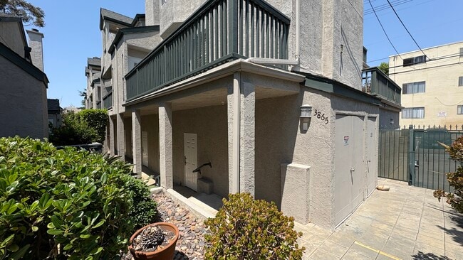 Building Photo - 3865 Albatross St Rental