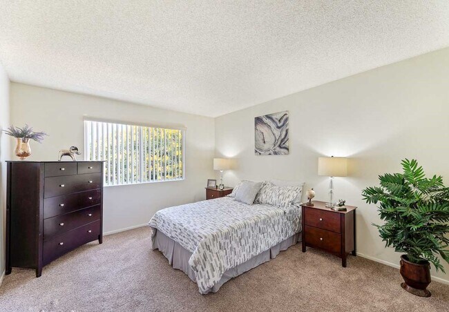 Photo - Cypress Point