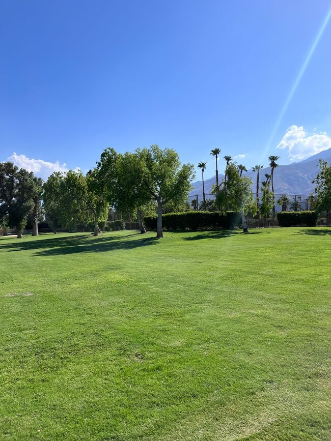 North Palm Springs Beauty - North Palm Springs Beauty House
