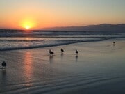 Photo - 33 Paloma Ave Unit #1