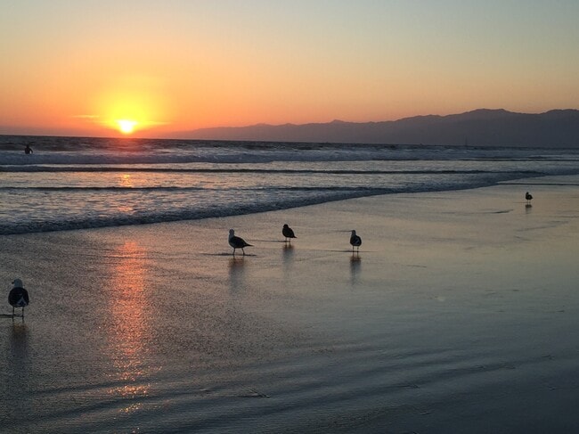 Building Photo - 33 Paloma Ave Unit #1