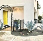 Photo - 445 Begonia Ave