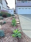 Photo - 6803 Urubu St