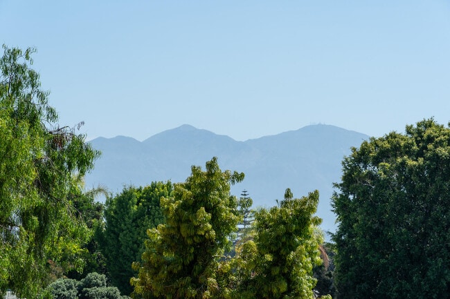 Photo - 2196 Via Mariposa E Unit P