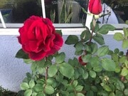 Photo - 23330 Victory Blvd