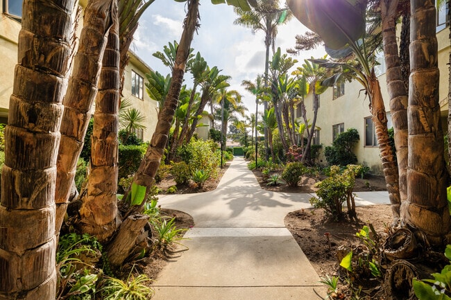 Courtyard - 421 San Vicente Apartments